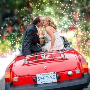 Meet your Posher, Terry